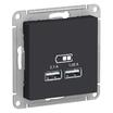 Розетка USB AtlasDesign тип A+A 5В 1х2.1А 2х1.05А механизм карбон SE ATN001033 - УПС инжиниринг