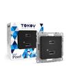 Розетка 2-м USB СП Pixel тип A+A 5В 1х2.1А 2х1.05А механизм карбон TOKOV ELECTRIC TKE-PX-2USB-C14 - УПС инжиниринг