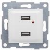 Розетка USB 2-м СП Ugra механизм бел. GUSI С11USB2-001 - УПС инжиниринг