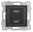 Розетка USB 2-м СП Ugra механизм графит GUSI С11USB2-010 - УПС инжиниринг