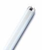 Лампа люминесцентная L 36W/640 36Вт T8 4000К G13 смол. OSRAM 4008321959713 - УПС инжиниринг