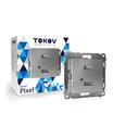 Розетка 2-м USB СП Pixel тип A+A 5В 1х2.1А 2х1.05А механизм алюм. TOKOV ELECTRIC TKE-PX-2USB-C03 - УПС инжиниринг