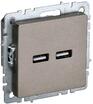 Розетка BRITE USB A+A 3.1А РЮ10-1-БрШ механизм шампань IEK BR-U21-D31-K37 - УПС инжиниринг