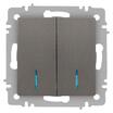 Выключатель 2-кл. СП Accent 6-105-09 10А IP20 250В с подсветкой AL/CU титан Intro Б0063525 - УПС инжиниринг