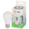 Лампа светодиодная GREEN LINE A60-8W-865-E27 GL 8Вт груша 6500К свет холод. E27 Эра Б0067142 - УПС инжиниринг