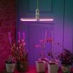 Лампа светодиодная LED-P65-16W/SPSB/E27/FR/P2 PLP32WH 16Вт P65 лепестковая матовая E27 для растений спектр для рассады и цветения (упак. картон) Uniel UL-00007406 - УПС инжиниринг