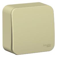 Переключатель проходной 1-кл. ОП Blanca 10А IP20 (сх. 6) 250В с изолир. пластиной беж. SE BLNVA106017 - УПС инжиниринг