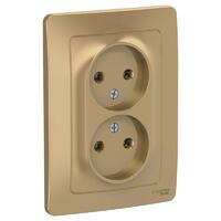 Розетка 2-м СП Blanca 16А IP20 250В без заземл. без защ. шторок титан SE BLNRS000024 - УПС инжиниринг