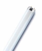 Лампа люминесцентная L 36W/765 36Вт T8 6500К G13 смол. OSRAM 4008321959836 - УПС инжиниринг