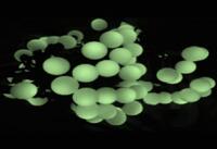 Гирлянда "Шарики" 10м OLDBL070-WW-E 70 тепл. бел. светодиодов соединяемая до 3шт уличная SHLights 4690601049674 - УПС инжиниринг