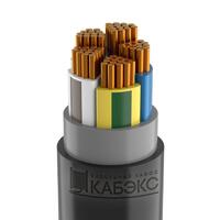 Кабель ППГнг(А)-HF 5х95 МС (N PE) 1кВ (м) Кабэкс ТХМ00375540 - УПС инжиниринг