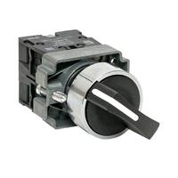 Переключатель BD33 3P короткая ручка 2NO IP65 PROxima EKF xb2-bd33-65 - УПС инжиниринг