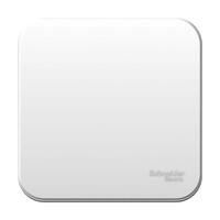 Выключатель 1-кл. ОП Blanca 10А IP20 (сх. 1) 250В с металлич. пластиной бел. SE BLNVA101021 - УПС инжиниринг