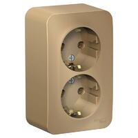 Розетка 2-м ОП Blanca 16А IP20 250В с заземл. без защ. шторок с изолир. пластиной титан SE BLNRA010214 - УПС инжиниринг