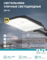 Светильник уличный линзованный светодиодный ДКУ-2L 120Вт 230В 5000К 15000лм 125лм/Вт 48-70мм IP65 NEOX 4690612057095 - УПС инжиниринг
