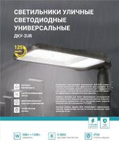 Светильник уличный линзованный светодиодный ДКУ-2UB 50Вт 230В 5000К 6250лм 125лм/Вт универсальный IP65 NEOX 4690612057415 - УПС инжиниринг