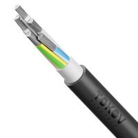 Кабель TOKOV ELECTRIC АВВГнг(А)-LS 5х70 МС (N PE) 1кВ (м) УТ000030803 - УПС инжиниринг
