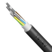 Кабель TOKOV ELECTRIC АВВГнг(А)-LS 5х50 МК (N PE) 0.66кВ (м) 00-00072436 - УПС инжиниринг