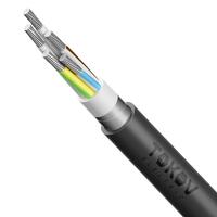 Кабель TOKOV ELECTRIC АВБШв 5х35 МК (N PE) 0.66кВ (м) 00-00072441 - УПС инжиниринг