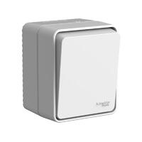 Выключатель 1-кл. ОП AtlasDesign PROFI IP54 с самовозвратом 10АХ сер. SE ATN543015 - УПС инжиниринг