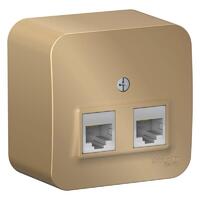 Розетка компьютерная 2-м ОП Blanca RJ45 кат.5E с изолир. пластиной титан SE BLNIA045454 - УПС инжиниринг