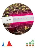 Лампа светодиодная FITO-18W-RB-Т8-G13-NL 18Вт T8 линейная 96LED 2835 IP20 35000ч для растений красн./син. спектр стекло Эра Б0042990 - УПС инжиниринг