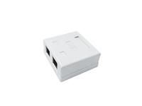 Розетка компьютерная 8P8C (RJ45) UTP кат.5E 2 порта TOKOV ELECTRIC TKE-SMB-8P8C-2P-UTP - УПС инжиниринг