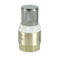 Клапан обратный с фильтром 1дюйм (80/10) К VALFEX VF.161.NS.100 - УПС инжиниринг