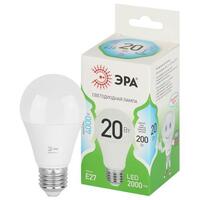 Лампа светодиодная GREEN LINE A60-20W-840-E27 GL 20Вт груша 4000К яркий свет бел. E27 Эра Б0067116 - УПС инжиниринг