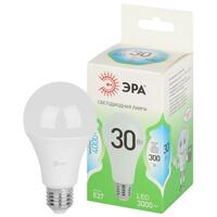 Лампа светодиодная GREEN LINE A65-30W-840-E27 GL 30Вт груша 4000К яркий свет бел. E27 Эра Б0067144 - УПС инжиниринг