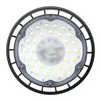 Светильник светодиодный ДСП-1101 100Вт 6500К IP65 промышленный для высоких пролетов PROxima EKF HIL-1101-100-6500 - УПС инжиниринг